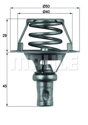 termostat,lichid racire