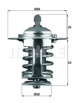 termostat,lichid racire