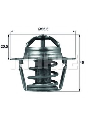 termostat,lichid racire