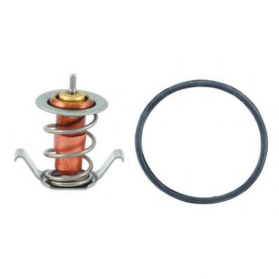 termostat,lichid racire