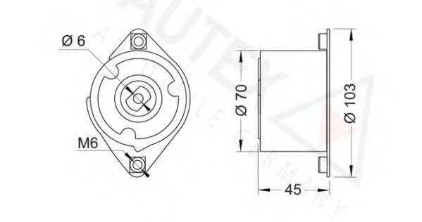 Intinzator curea, curea distributie