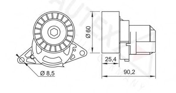 intinzator,curea transmisie