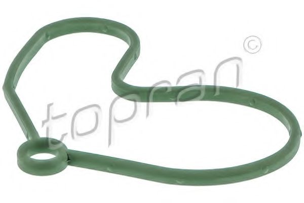 Garnitura, pompa vacuum