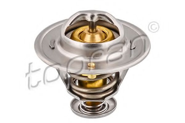 termostat,lichid racire