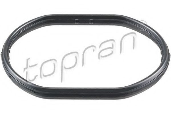 Garnitura, carcasa termostat
