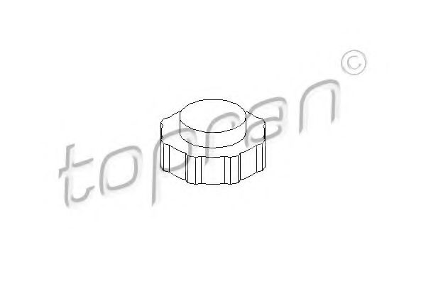 buson,vas expansiune
