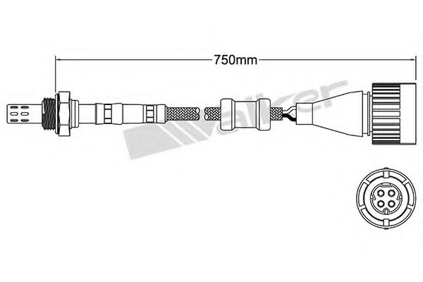 Sonda Lambda