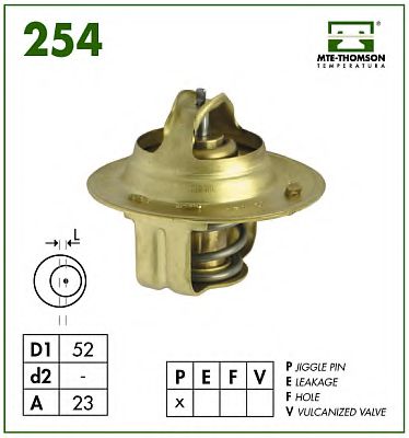 termostat,lichid racire