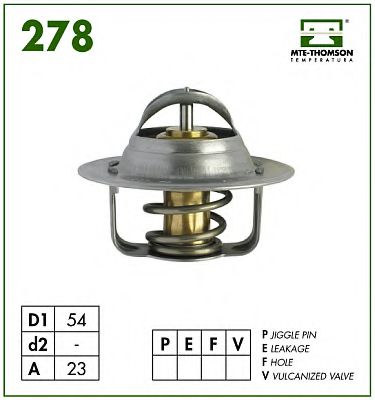 termostat,lichid racire