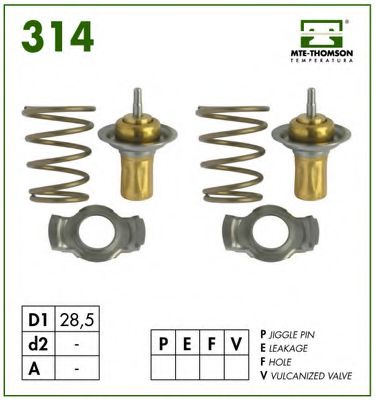 termostat,lichid racire