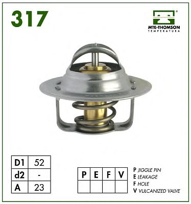 termostat,lichid racire