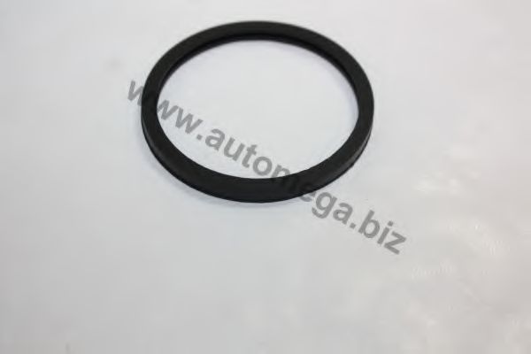 Garnitura termostat