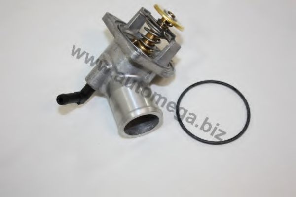 termostat,lichid racire