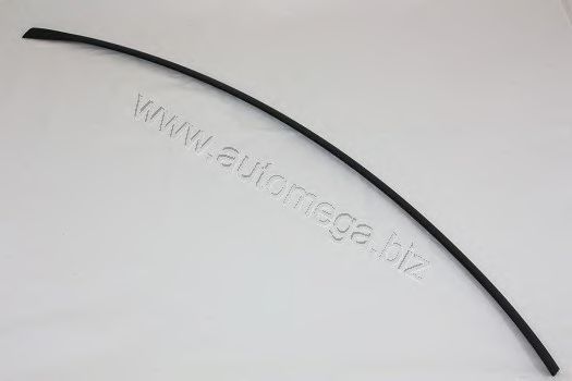 Elemente decorative/protectie, parbriz