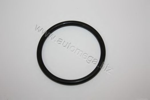 Garnitura termostat