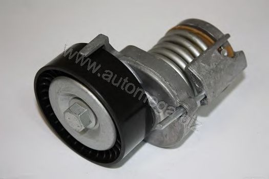intinzator,curea transmisie