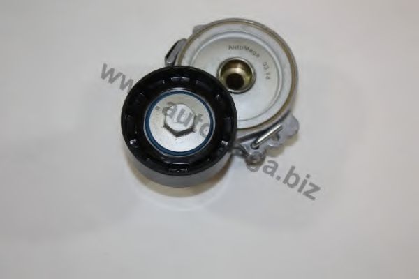 intinzator,curea transmisie