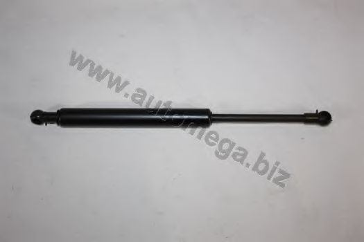 Amortizor capota