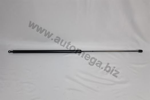 Amortizor capota