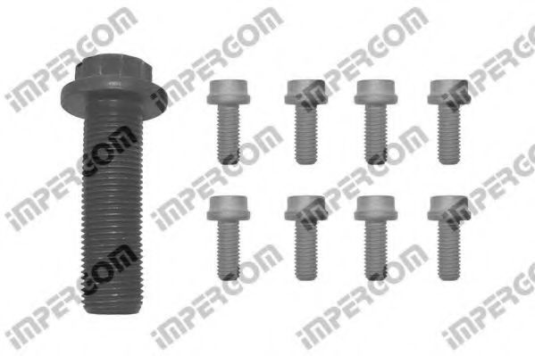 Set surub, disc curea-arbore cotit