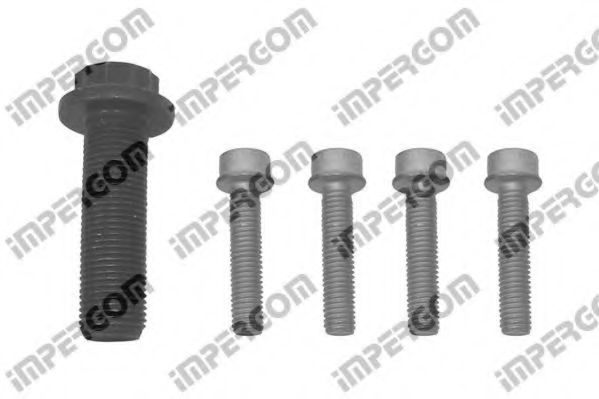 Set surub, disc curea-arbore cotit