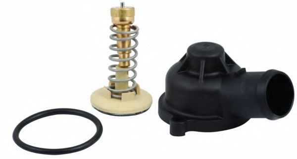 termostat,lichid racire