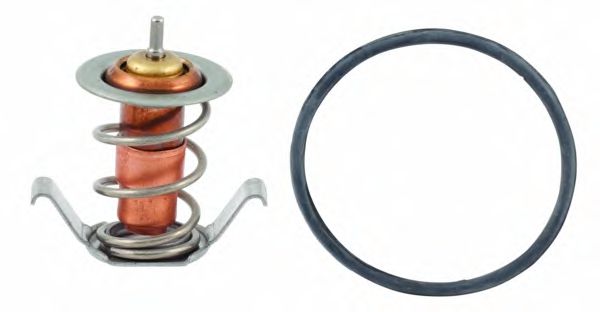 termostat,lichid racire