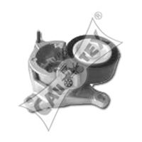 intinzator,curea transmisie