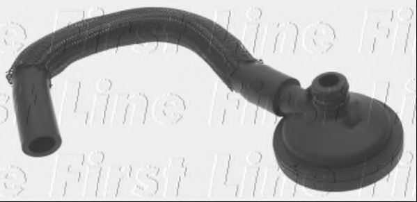 Furtun ear supraalimentare