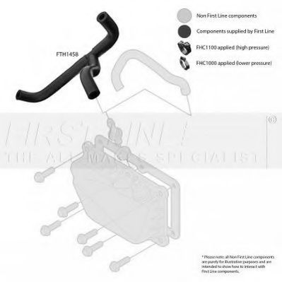 Furtun ear supraalimentare