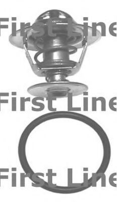 termostat,lichid racire