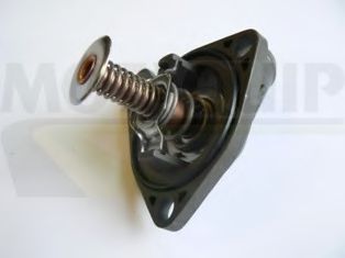 termostat,lichid racire