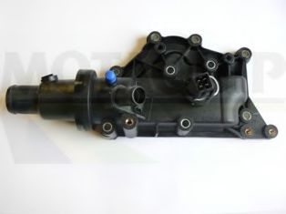 termostat,lichid racire