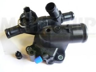 termostat,lichid racire