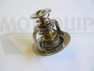 termostat,lichid racire