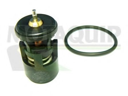 termostat,lichid racire