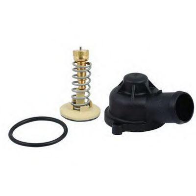 termostat,lichid racire