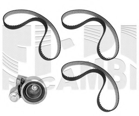 Set curea de distributie