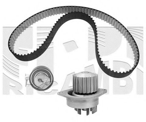 Set curea de distributie