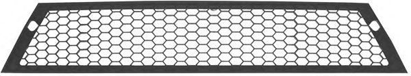 Grila radiator