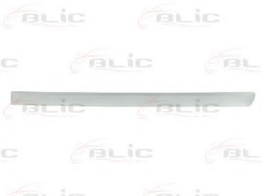 Elemente decorative/protectie, portiera