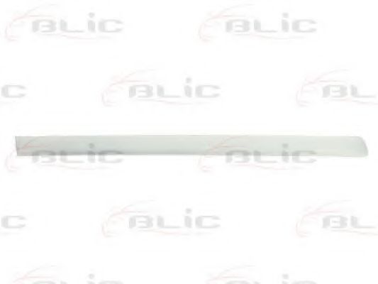 Elemente decorative/protectie, portiera