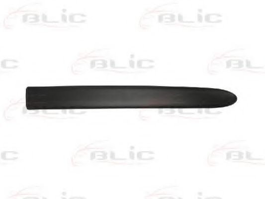 Elemente decorative/protectie, portiera