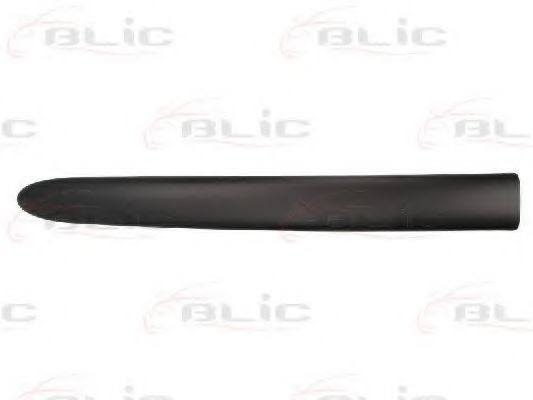 Elemente decorative/protectie, portiera