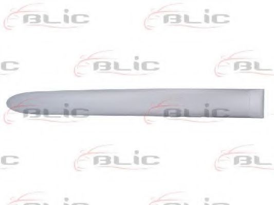 Elemente decorative/protectie, portiera