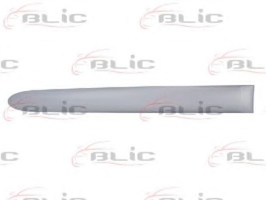 Elemente decorative/protectie, portiera