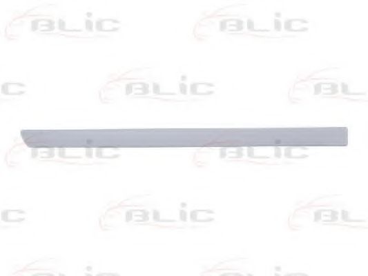 Elemente decorative/protectie, portiera