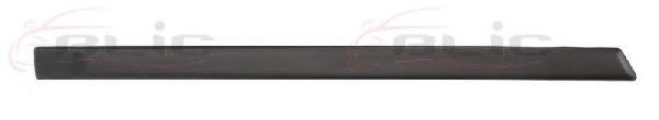 Elemente decorative/protectie, portiera