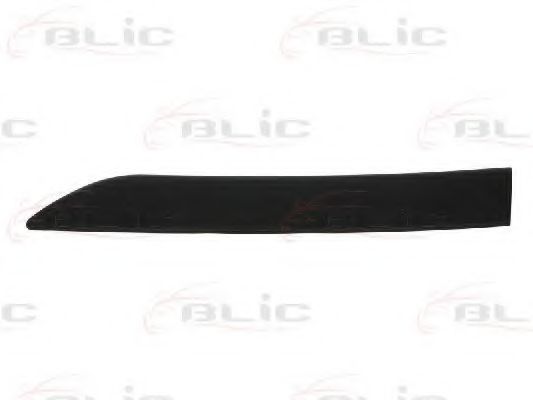 Elemente decorative/protectie, aripa