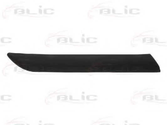 Elemente decorative/protectie, aripa
